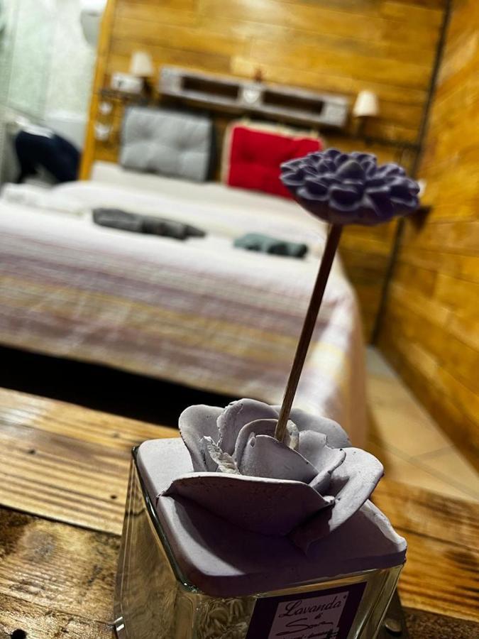 La Casa A Colori Villa Viterbo Ngoại thất bức ảnh